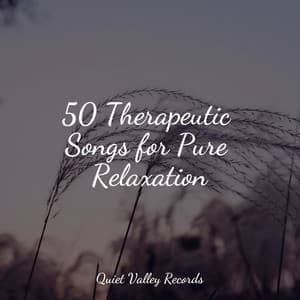 50 Therapeutic Songs for Pure Relaxation - Nature Sounds Collection