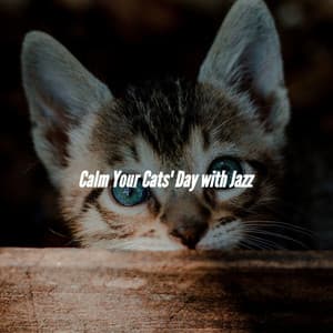 Calm Your Cats' Day with Jazz - Cafe Music