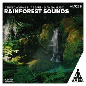Rainforest Sounds - Elias Earth