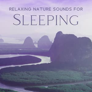 Relaxing Nature Sounds For Sleeping - Calm Forest, Waves, Gentle Rivers, Bird Songs | Meditation Music - Total Nature Relaxation
