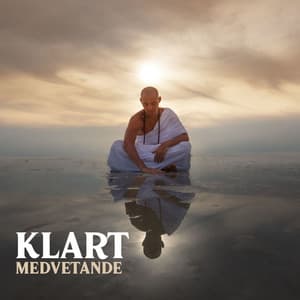 Klart Medvetande: Lugn Musik för Mindfulness och Avslappning - Avslappning 101