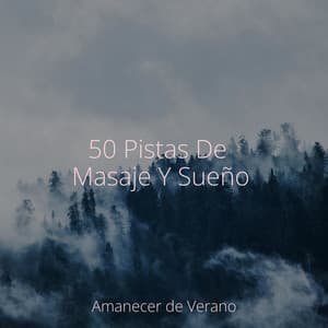 50 Pistas De Masaje Y Sueño - Massage Therapy Music