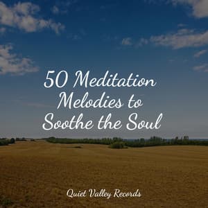 50 Meditation Melodies to Soothe the Soul - Regengeräusche