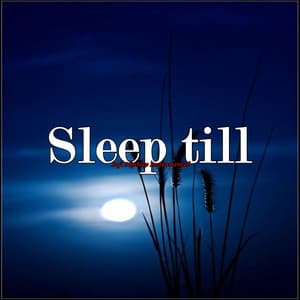 Sleep Till - Lofi HipHop Instrumental