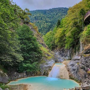 25 Atmospheric Nature Songs: Serene Earth - Baltic Nature Sounds