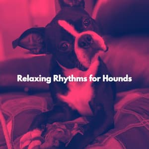 Relaxing Rhythms for Hounds - Dog Sleeping Soundtracks Deluxe