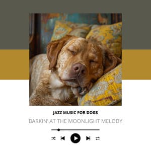 Barkin’ at the Moonlight Melody - Jazz Music for Dogs