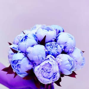 Lo-fi - Ambiance for Calming Lofi Moments - lofi