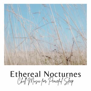 Ethereal Nocturnes: Chill Music for Peaceful Sleep - Shush Shush Shush
