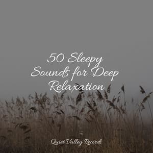 50 Sleepy Sounds for Deep Relaxation - Lullaby Rain
