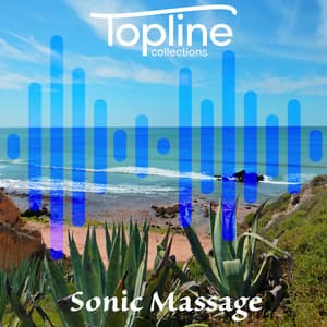 Topline Collections: Sonic Massage - Dave Cooke