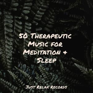 50 Therapeutic Music for Meditation & Sleep - Música para Relajarse Profundamente