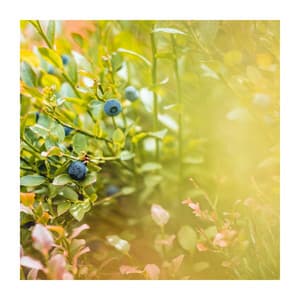 Deep Meditation and Relaxation for You - Pilates Studio