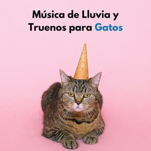 Música De Lluvia Y Truenos Para Gatos - Sonidos De Truenos y Lluvia