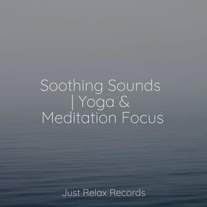 Soothing Sounds | Yoga & Meditation Focus - Spa & Spa
