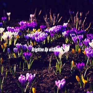 Brighten Up with Jazz - Hamilton Cafe Music