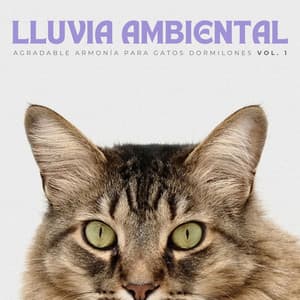 Lluvia Ambiental: Agradable Armonía Para Gatos Dormilones Vol. 1 - La Fábrica de Lluvia