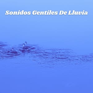 Sonidos Gentiles De Lluvia - Lluvia relajarse