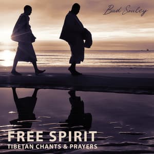 Free Spirit: Tibetan Chants & Prayers, Western Meditation, Magic Midnight, Relax & Meditate, Buddha's Blessings, Open Yourself, Trip to Harmony - Bud Souley