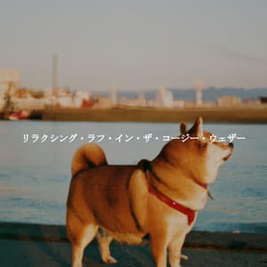 リラクシング・ラフ・イン・ザ・コージー・ウェザー - Musica para Estudiar Radio