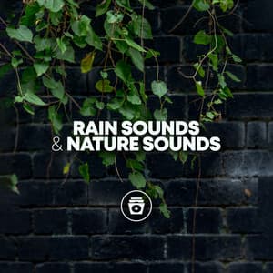 Rain Sounds & Nature Sounds - Heavy Rain Sounds