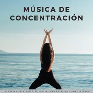 Música De Concentración: Melodías Relajantes De Lluvia Para Estar Muy Concentrado - Colmena de Lluvia