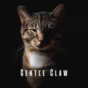 Gentle Claw: Cat's Chill Music Journey - Harmonious Cat Rest