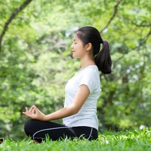 Meditation Rain Symphony: Piano Zen Garden - Piano and Rain