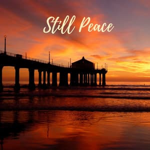 Still Peace - Masala Roo