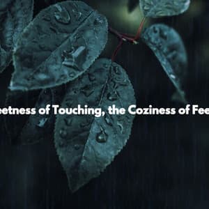 Sweetness of Touching, the Coziness of Feeling - Rilassante Jazz Musica Ambiente