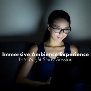 Immersive Ambience Experience: Late Night Study Session, Concentration Music - Exam Study Songs Masters