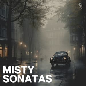 Misty Sonatas - Rain Man Sounds