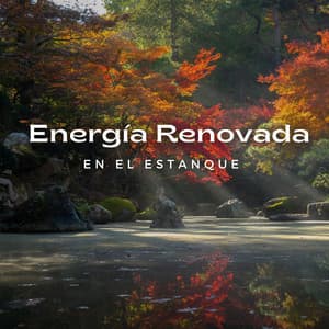 Energía Renovada En El Estanque - Canal de la Naturaleza sin Interrupción