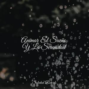 Animar El Sueño Y La Serenidad - Relajación Meditar Academie