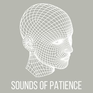 Sounds of Patience - Day Spa Music