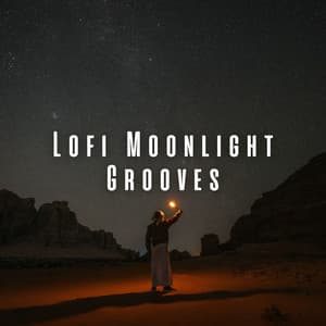 Lofi Moonlight Grooves - Lofi Chillhop
