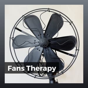 Fans Therapy - Box Fan Sounds