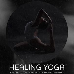 Healing Yoga - Healing Yoga Meditation Music Consort