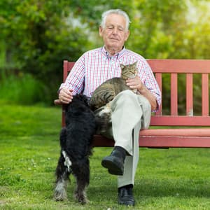 Pet Relaxation Retreat: Rainy Paws and Piano Harmony Melodies - Relaxing Piano Music Classic