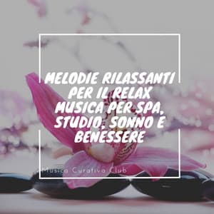 Melodie rilassanti per il relax: Musica per spa, Studio, Sonno e benessere - Musica Curativa Club