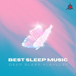 Deep Sleep Playlist - Best Sleep Music