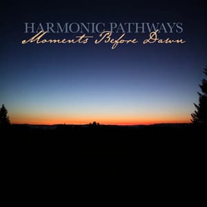 Moments Before Dawn - Harmonic Pathways
