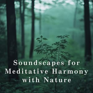 Soundscapes for Meditative Harmony with Nature - Relax α Wave