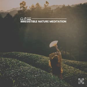 Irresistible Nature Meditation - Island Nature Sounds