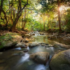 Tranquil Beats: Hip Hop for Unwinding - Calm Lofi Sounds