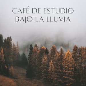Café De Estudio Bajo La Lluvia - Maravilla de lluvia