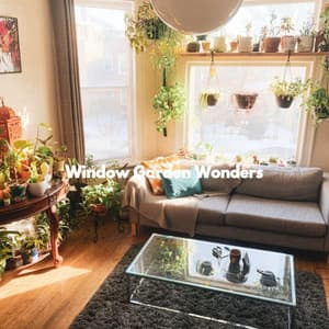 Window Garden Wonders - Beach Jazz Playlist