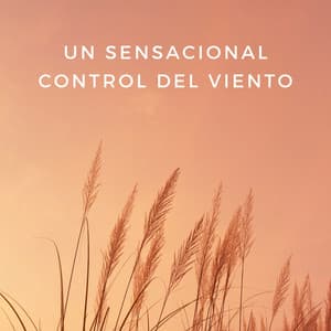 Un Sensacional Control Del Viento - Sonidos De Lluvia y Viento