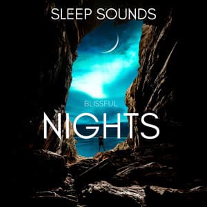 Blissful Nights - Sleep Sounds