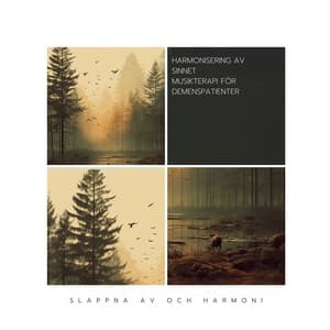 Harmonisering av Sinnet: Musikterapi för Demenspatienter - Slappna av och Harmoni